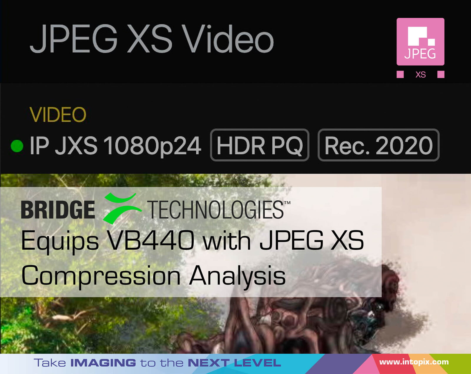 Bridge Technologies Equips VB440 with JPEG XS Compression Analysis 